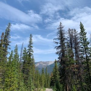 Meet your Posher, Colton